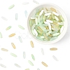 100G Opaque Colours Glass Seed Beads GLAA-YW0005-23B-1