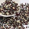 Baking Paint Glass Seed Beads SEED-S042-05B-55-1