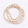Electroplate Glass Beads Strands EGLA-J013-4X6mm-F18-2