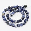 Natural Sodalite Beads Strands G-D691-10mm-2
