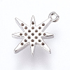 Brass Micro Pave Cubic Zirconia Charms X-ZIRC-G116-09P-2