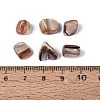 Natural Freshwater Shell Beads SHEL-ZX009-12-4