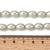 Electroplated Shell Pearl Beads Strands BSHE-B008-07A-4