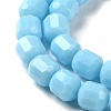 Opaque Glass Beads Strands GLAA-G112-03C-3