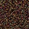 MIYUKI Round Rocailles Beads X-SEED-G009-RR0615-3