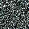 TOHO Round Seed Beads SEED-JPTR15-0995-2