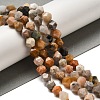Natural Fossil Coral Beads Strands G-K382-A07-02-2