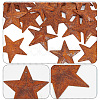 30Pcs 3 Styles Iron Pendants IFIN-GF0001-39B-5