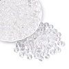 FGB Transparent Glass Seed Beads SEED-N013-01C-02-1