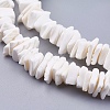 Natural Sea Shell Beads Strands X-BSHE-K012-08E-3