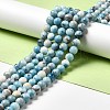 Natural Gemstone Beads Strands G-F730-02B-2