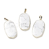 Natural Howlite Pendants G-K338-05C-1