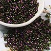 Spray Painted Glass Seed Beads SEED-F005-07A-05-1