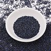 MIYUKI Delica Beads X-SEED-J020-DB2191-2