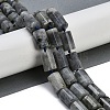 Natural Labradorite Beads Strands G-G162-D13-02-2