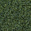 MIYUKI Round Rocailles Beads SEED-X0054-RR0350-3