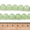 Dyed Natural Malaysia Jade Beads Strands G-G021-01D-04-2