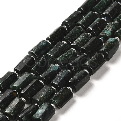 Natural Fuchsite Beads Strands G-N327-06-35-1