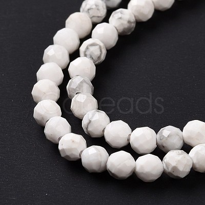 Natural Howlite Beads Strands G-H273-02B-1