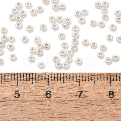 10G Silver Lined Glass Seed Beads SEED-L013-01A-1