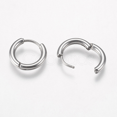 Tarnish Resistant 201 Stainless Steel Huggie Hoop Earrings Findings STAS-F149-33P-C-1