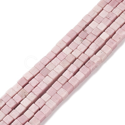 Natural Rhodonite Beads Strands G-F631-K20-1