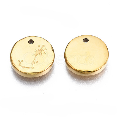 316 Surgical Stainless Steel Charms LS-STAS-S116-418J-G-1
