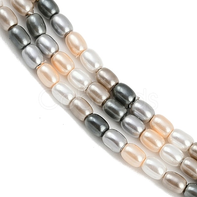 Electroplated Shell Pearl Beads Strands BSHE-H113-06A-03-1