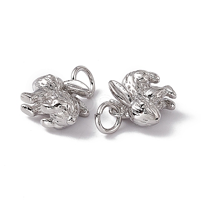 Rack Plating Brass Charms KK-C007-17P-1