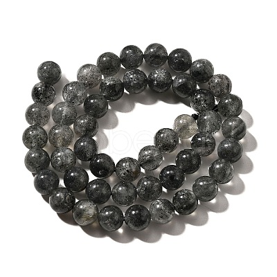 Natural Biotite Beads Strands G-F784-A03-03-1