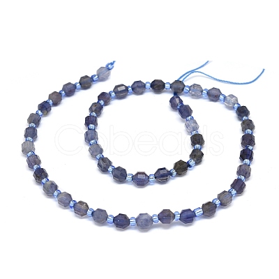 Natural Iolite Beads Strands G-O201B-02-1