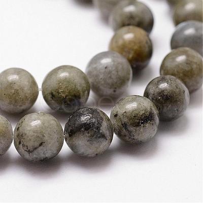 Natural Labradorite Bead Strands G-D840-64-8mm-1