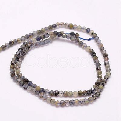 Natural Cordierite/Iolite/Dichroite Beads Strands G-F509-39-2mm-1