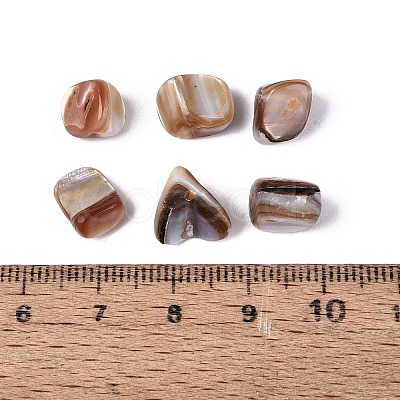 Natural Freshwater Shell Beads SHEL-ZX009-12-1