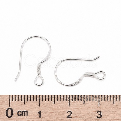 925 Sterling Silver Earring Hooks STER-G011-14-1