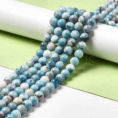 Natural Gemstone Beads Strands G-F730-02B-1