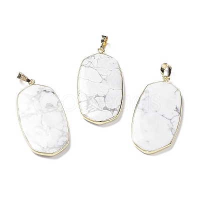 Natural Howlite Pendants G-K338-05C-1