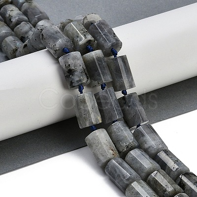 Natural Labradorite Beads Strands G-G162-D13-02-1