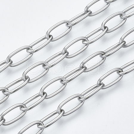 Tarnish Resistant 304 Stainless Steel Paperclip Chains CHS-S001-06A-P-1