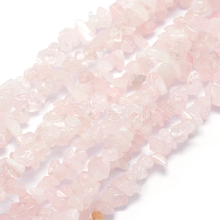 Natural Rose Quartz Beads Strands G-P332-63-1