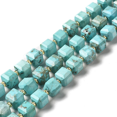 Natural Howlite Beads Strands G-C025-14-1