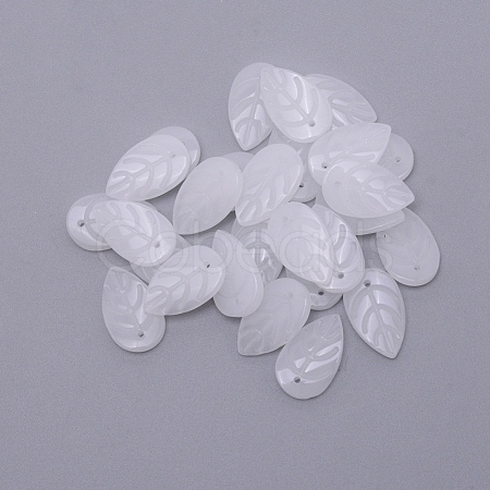 Handmade Lampwork Beads LAMP-CJC0004-11C-1