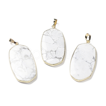 Natural Howlite Pendants G-K338-05C-1
