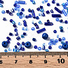 FGB Glass Seed Beads SEED-S056-008-4