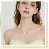 2 Strands Natural Freshwater Shell Beads Strands SSHEL-SC0001-36D-5