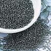 MIYUKI Round Rocailles Beads X-SEED-G007-RR0021-1