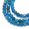 Natural Apatite Beads Strands G-G106-C06-02-3