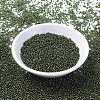 MIYUKI Round Rocailles Beads SEED-JP0008-RR0306-2