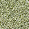 MIYUKI Round Rocailles Beads SEED-JP0008-RR0359-3