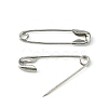 Iron Safety Pins NEED-D001-1-1